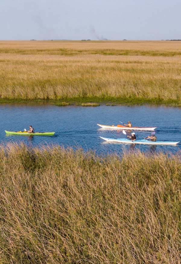 Paseá en kayak por los Esteros del Iberá