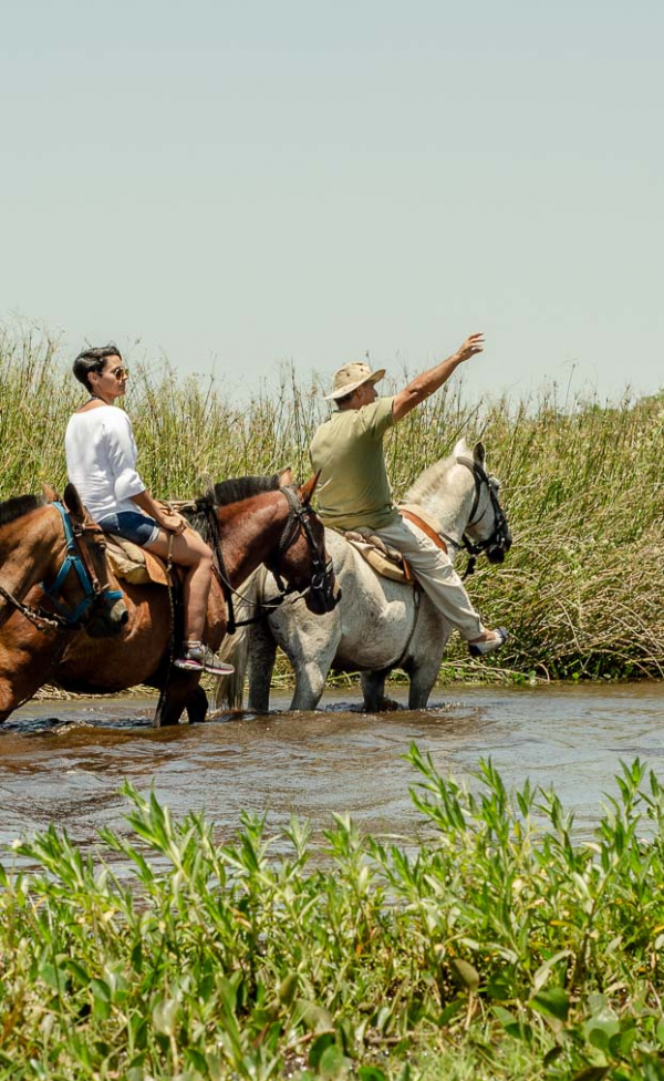 Iberá - Portal Cambyretá